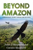 Beyond Amazon (eBook, ePUB)