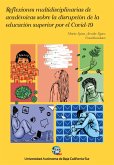 Reflexiones multidisciplinarias de académicas sobre la disrupción de la educación superior por el Covid-19 (eBook, ePUB)