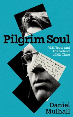 Pilgrim Soul (eBook, ePUB) - Mulhall, Daniel