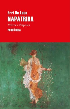 Cover Napátrida (eBook, ePUB)