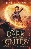 The Dark That Ignites (The Light of Darkness) (eBook, ePUB)