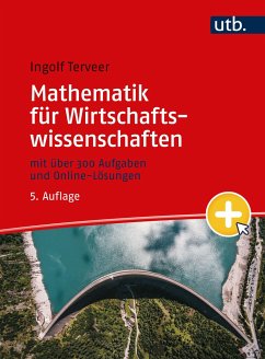 Mathematik für Wirtschaftswissenschaften - Terveer, Ingolf