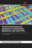 Technical-Financial Analysis of Hydraulic Networks AG and PVC