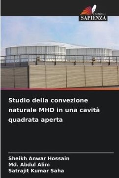 Studio della convezione naturale MHD in una cavità quadrata aperta - Hossain, Sheikh Anwar;Alim, Md. Abdul;Saha, Satrajit Kumar