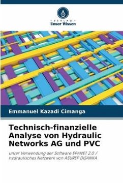 Technisch-finanzielle Analyse von Hydraulic Networks AG und PVC - KAZADI CIMANGA, Emmanuel
