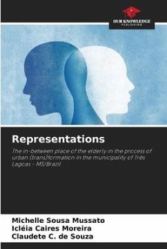 Representations - Mussato, Michelle Sousa;Moreira, Icléia Caires;Souza, Claudete C. de