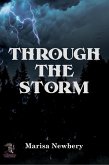 Through the Storm (eBook, ePUB)