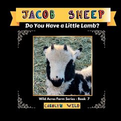 Jacob Sheep - Wild, Carolyn