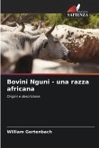 Bovini Nguni - una razza africana