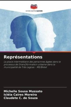 Représentations - Mussato, Michelle Sousa;Moreira, Icléia Caires;Souza, Claudete C. de