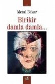 Birikir Damla Damla... Birikir Damla Damla...