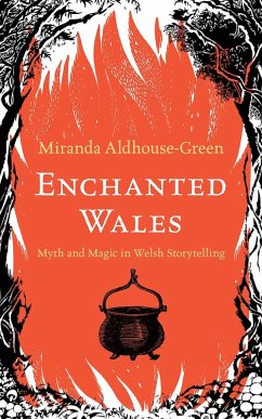 Enchanted Wales (eBook, ePUB) - Aldhouse-Green, Miranda