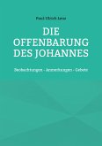 Die Offenbarung des Johannes (eBook, ePUB)