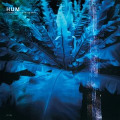 Downward Is Heavenward (Remastered 180g 2lp) - Hum