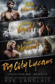 Big City Lycans Collection One (eBook, ePUB) Big City Lycans Collection One (eBook, ePUB)