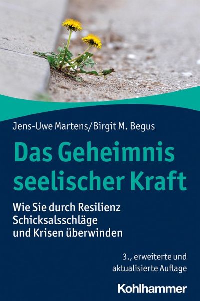 Das Geheimnis seelischer Kraft (eBook, ePUB)