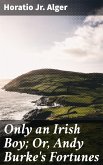 Only an Irish Boy; Or, Andy Burke's Fortunes (eBook, ePUB)