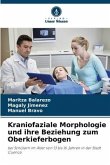Kraniofaziale Morphologie und ihre Beziehung zum Oberkieferbogen