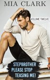 Stepbrother, Please Stop Teasing Me! (Volume Twelve)