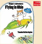 Flying in Ohio