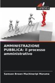 AMMINISTRAZIONE PUBBLICA: il processo amministrativo