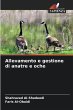 Allevamento e gestione di anatre e oche - Bild 1