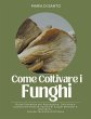 Come Coltivare i Funghi - Bild 1