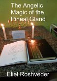 The Angelic Magic of the Pineal Gland (Aliens and parallel worlds, #16) (eBook, ePUB) The Angelic Magic of the Pineal Gland (Aliens and parallel worlds, #16) (eBook, ePUB)