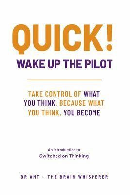 QUICK! WAKE UP THE PILOT! (eBook, ePUB)