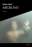 Abgrund (eBook, ePUB)