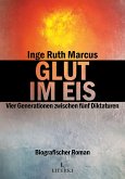 Glut im Eis (eBook, ePUB)