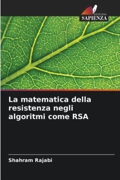 La matematica della resistenza negli algoritmi come RSA - Rajabi, Shahram