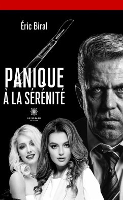 Panique à la Sérénité (eBook, ePUB) - Biral, Eric