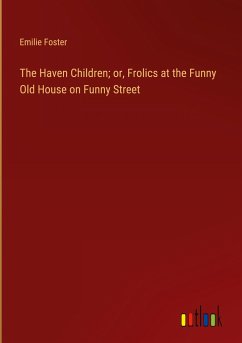 The Haven Children; or, Frolics at the Funny Old House on Funny Street - Foster, Emilie