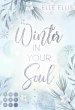 Winter in your Soul (Cosy Island 4) - Bild 1