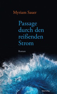 Passage durch den reißenden Strom (eBook, ePUB) - Sauer, Myriam