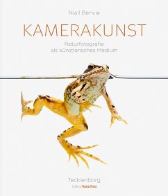 Kamerakunst - Benvie, Niall