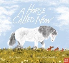 A Horse Called Now - Doyle, Ruth