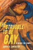 The Struggle to Be Gay-in Mexico, for Example