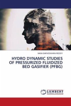 HYDRO DYNAMIC STUDIES OF PRESSURIZED FLUIDIZED BED GASIFIER (PFBG)
