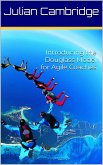 Introducing the Douglass Model for Agile Coaches (eBook, ePUB)