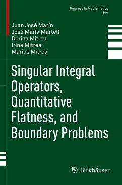 Singular Integral Operators, Quantitative Flatness, and Boundary Problems - Marín, Juan José;Martell, José María;Mitrea, Dorina