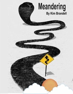 Cover Meandering (eBook, ePUB)
