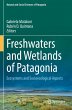Freshwaters and Wetlands of Patagonia - Bild 1