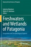 Freshwaters and Wetlands of Patagonia