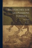 Recherches Sur Les Poissons Fossiles, ...: Placoïdes...
