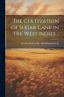 The Cultivation of Sugar Cane in the... - Bild 1