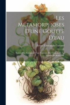 Les Métamorphoses D'une Goutte D'eau: Suivies Des Aventures D'une Fourmai, Des Guêpes, De La Goutte De Rosée, Etc - Carraud, Zulma Tonrangin