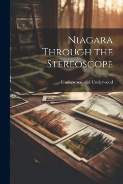 Cover Niagara Through the Stereoscope