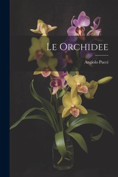 Le orchidee - Pucci, Angiolo